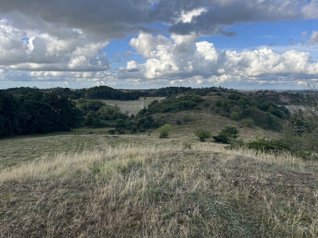 Eksempel på vild natur.