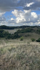 Eksempel på vild natur.