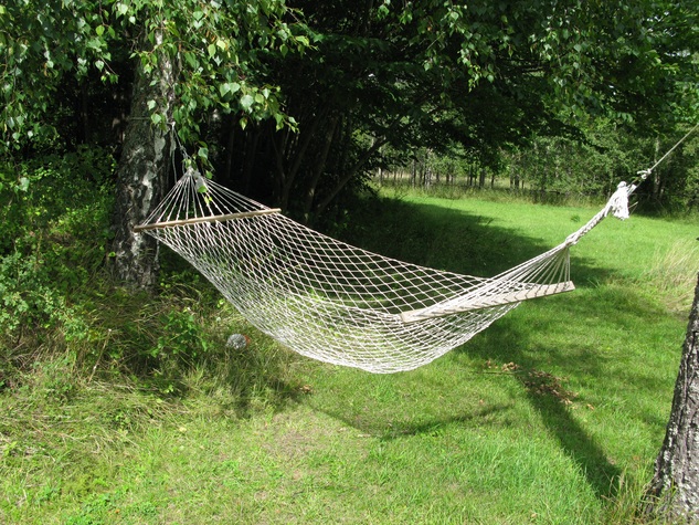 nature-wing-summer-hammock-net-sweden-839166-pxhere.com.jpg